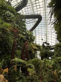 Sakura, Supertrees, and Sundae Bliss! Discovering the Magic of Gardens by the Bay
