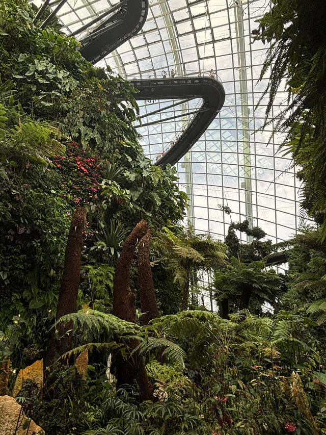 Sakura, Supertrees, and Sundae Bliss! Discovering the Magic of Gardens by the Bay