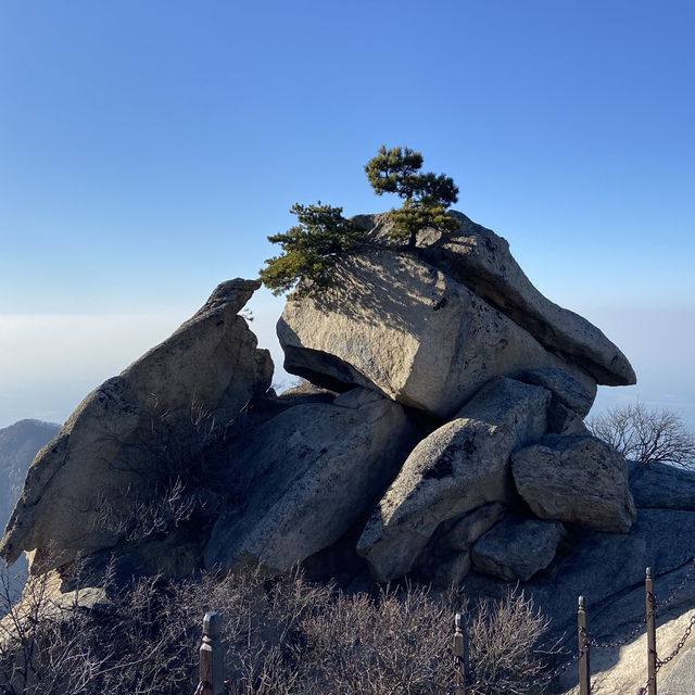 華山一日遊｜北上北下索道輕鬆行