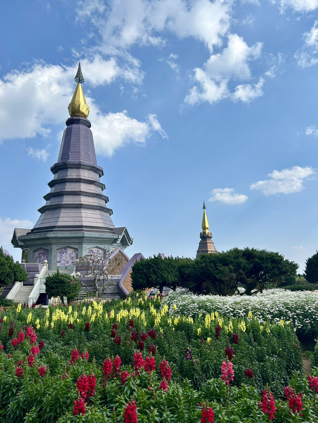 【花と歴史が織りなす美しき仏塔】Twin Pagodasナパメートニドン＆ナパポンプミスリ