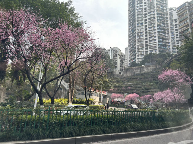 Chongqing, The Amazing Mountain City of China