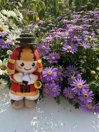 百花齊放的香港花卉展覽2025🥰😘😍💐🌺🪻🌸🌻🌞