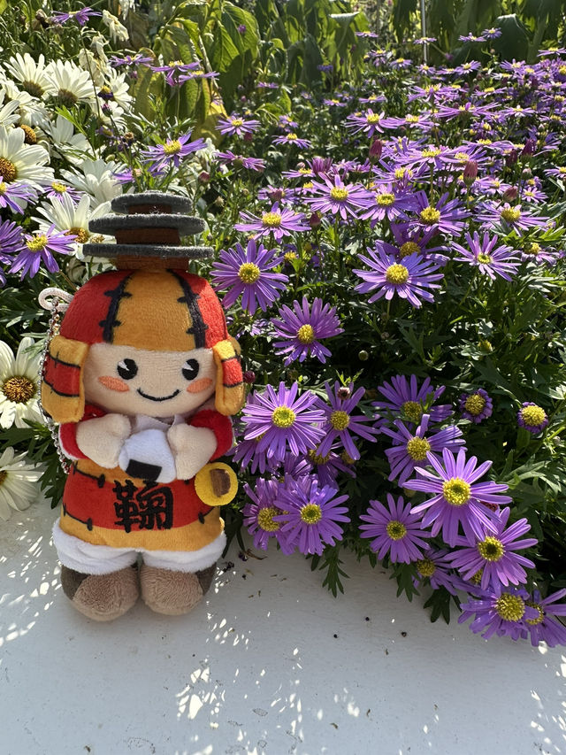 百花齊放的香港花卉展覽2025🥰😘😍💐🌺🪻🌸🌻🌞