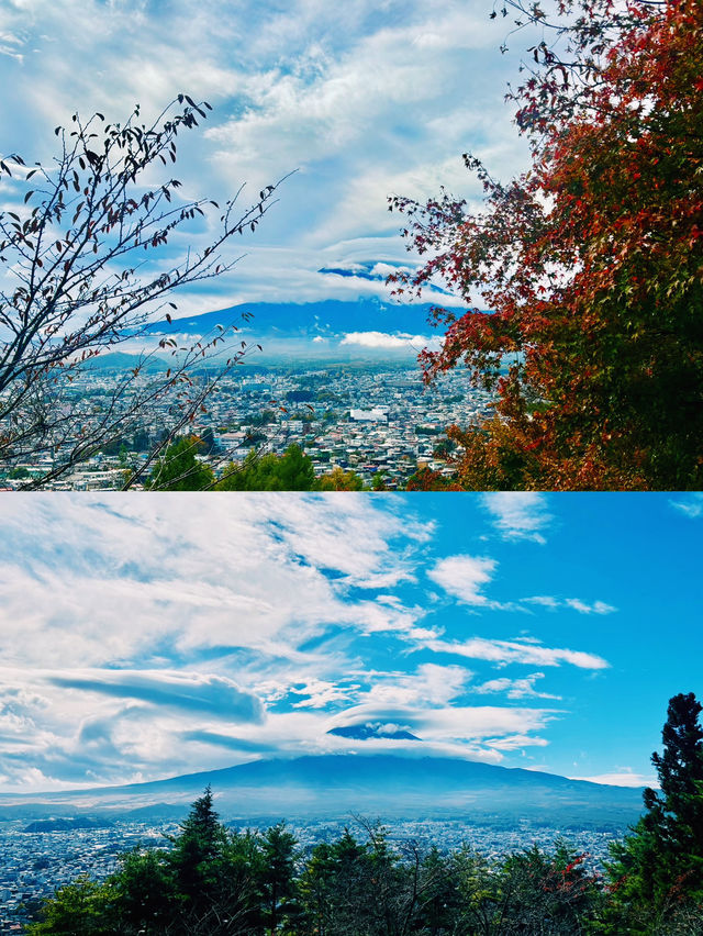 【日本山梨】新倉山淺間公園：步入秋天的畫卷