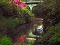 Sefton Park: A must visit Park in Liverpool!