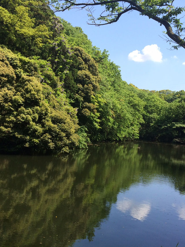 【鎌倉アルプス:北鎌倉・山之内・今泉の秘境から二階堂まで。散在ヶ池公園・陰陽滝・天園ハイキングコース 】