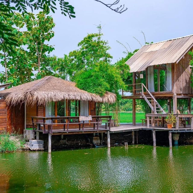 บ้านปายดิน ออร์แกนิค ฟาร์มสเตย์