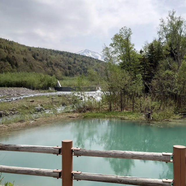 【北海道】🇯🇵 白金青い池