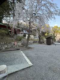 近江神宮に行ってみた！