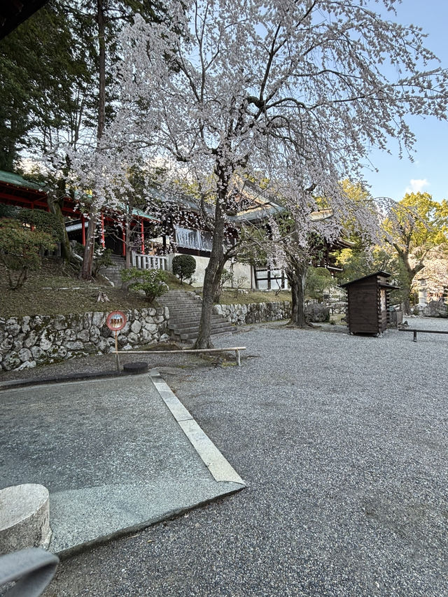 近江神宮に行ってみた！