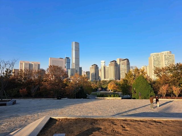 도심 속 고요함, 대련 노동공원 산책