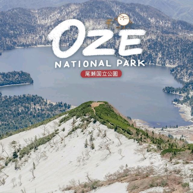 Oze National Parkอุทยานแห่งชาติโอเซะ