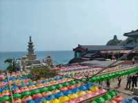 釜山櫻花季滿滿幸褔的海邊廟宇~海東龍宮寺