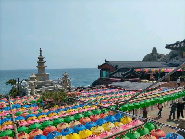 釜山櫻花季滿滿幸褔的海邊廟宇~海東龍宮寺