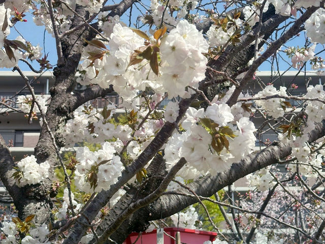 預約才進得去的～造幣局❤️
