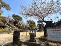 大阪近郊賞櫻，親子最愛的五月山公園