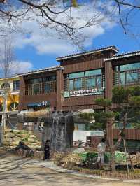 Chasing Cherry Blossoms: The Magic of Nami Island