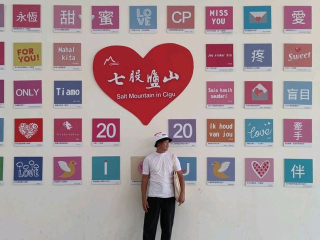 #七股鹽山-臺南市七股區