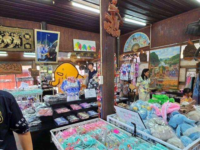 นั่งหลังช้าง ชมเมืองอยุธยา วิถีชุมชน