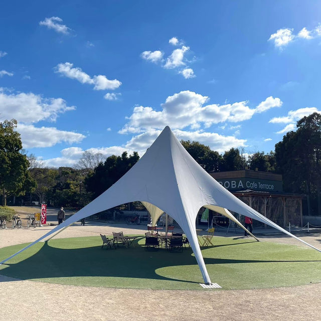 日本大仙公園💕避開人流好去處