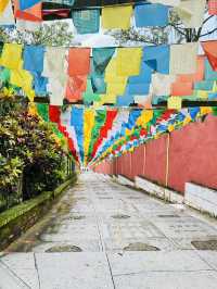 Bamboo-Themed Attraction ◄Putuo Village✨Purple Bamboo Valley► [KULAI@JOHOR]