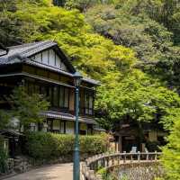 箕面瀑布（Minoh Falls）