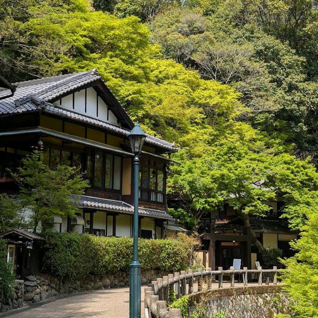 箕面瀑布（Minoh Falls）