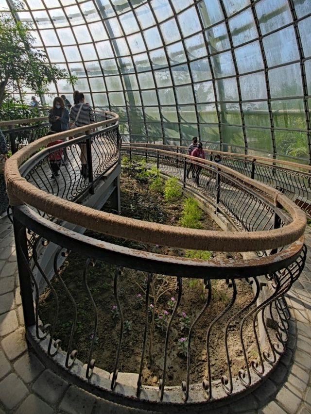 臺版濱灣花園#嘉大植物園-嘉義市東區