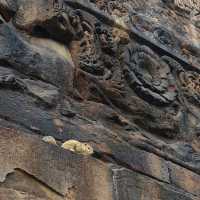 สารนาถ สถานที่ปฐมเทศนา