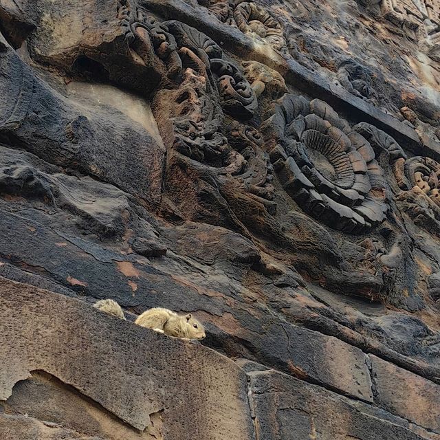 สารนาถ สถานที่ปฐมเทศนา
