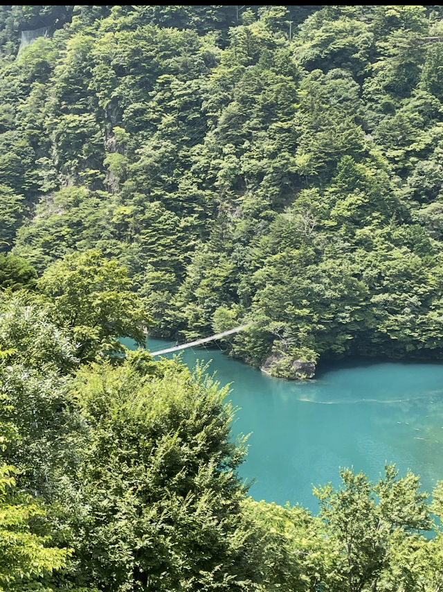 静岡•映えスポット