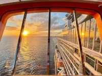 ✨ Celebrity Apex: The Ship That Feels Like a Floating Instagram Dream! 🌊