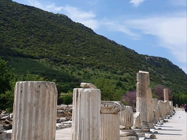 켈수스 도서관