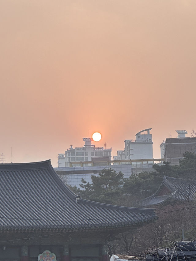 Seoul Trip Diary