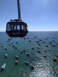 海の上を渡る🇻🇳世界最長級の絶景ケーブルカー