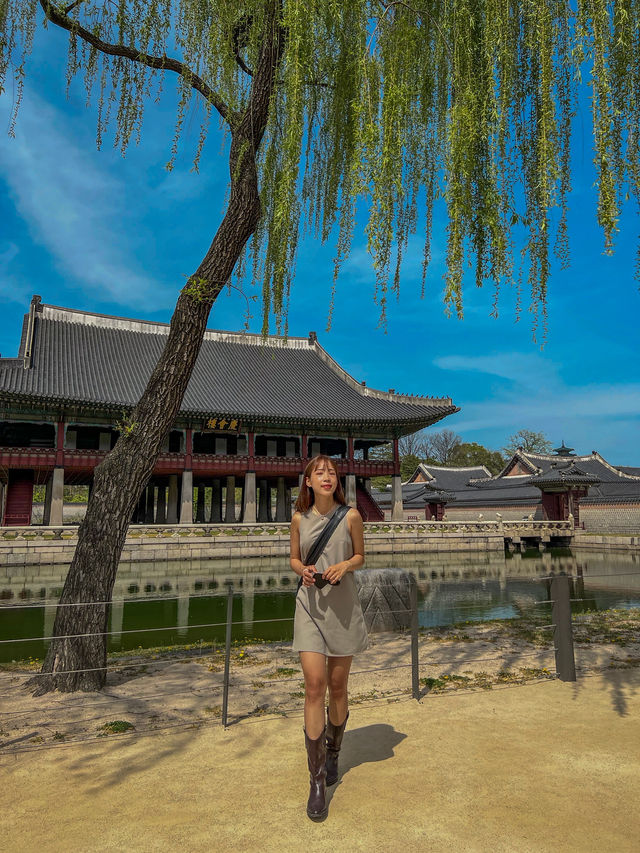 🇰🇷언제나 아름다운 우리나라 경복궁🇰🇷 