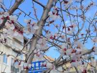 Songpan, Sichuan, China : เมืองที่มีเสน่ห์