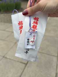 東京六日遊5/4第五天豪德寺喵喵廟
