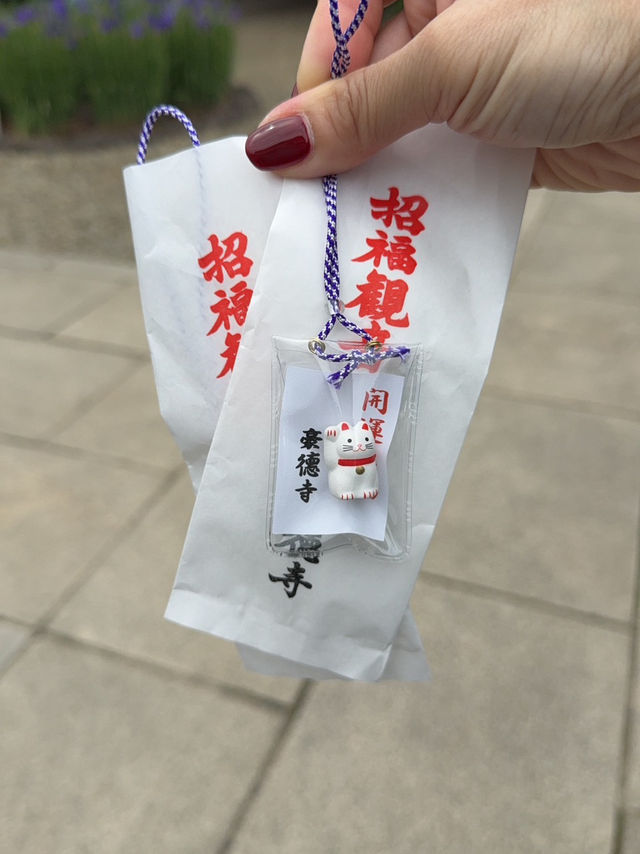 東京六日遊5/4第五天豪德寺喵喵廟
