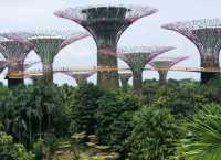 #濱海灣花園Gardens By The Bay-新加坡