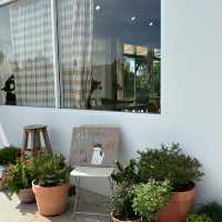 Curve project คาเฟ่สไตล์โฮมมี่ย่านดอนเมือง