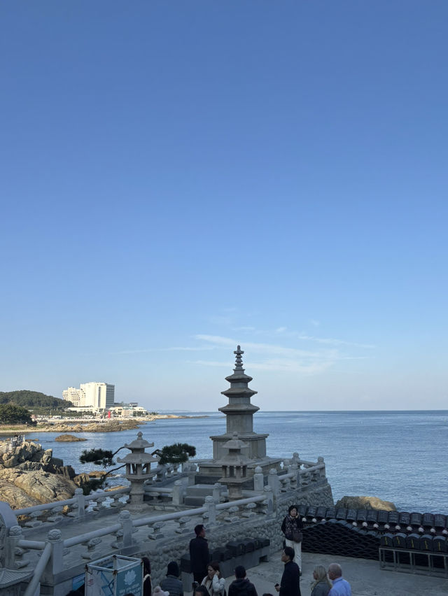 【韓国・釜山】海雲台周辺を満喫しよう！！