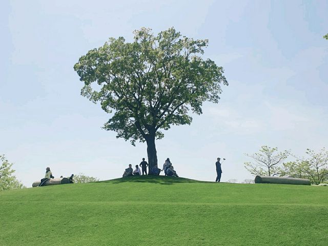 모든 순간이 초록 🌱순천만국가정원