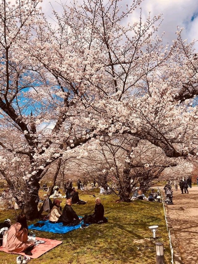 Chill Flower Overload