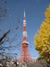 Tokyo Tower หอคอยสีแดงสุดคลาสสิค