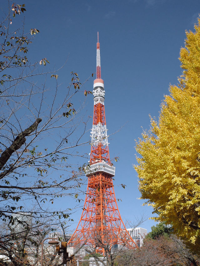 Tokyo Tower หอคอยสีแดงสุดคลาสสิค