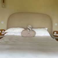 โรงแรม Sala khaoyai เขาใหญ่