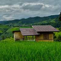 ป่าบงเปียง ทุ่งนาสีเขียวที่โคตรฮีลใจ 💚🍃