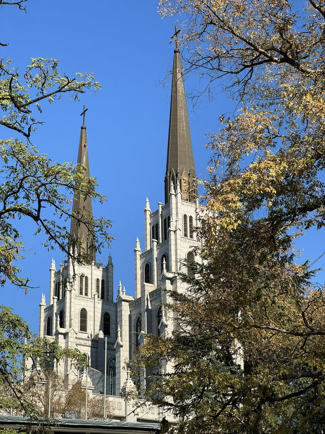 大邱青蘿坡｜安和寧靜的城市一隅⛪️