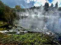 Wai-O-Tapu Thermal Wonderland地熱世界巡禮